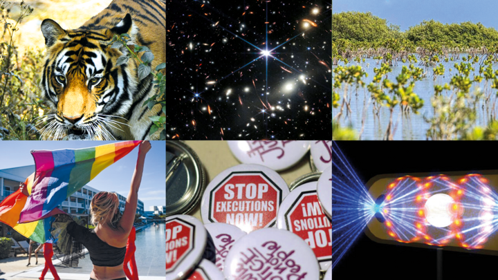 From scientific breakthroughs to progress on human rights, there was also some good news in 2022.